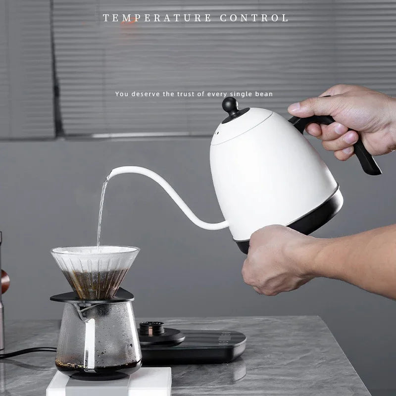 Gooseneck Electric Kettle 800ml – Digital Temperature Control, Pour-Over Coffee & Tea