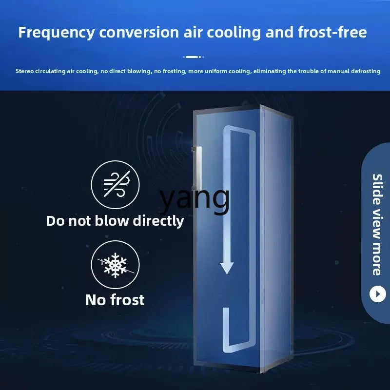 CX 206L Vertical Freezer – Frost-Free, Inverter, Air-Cooled